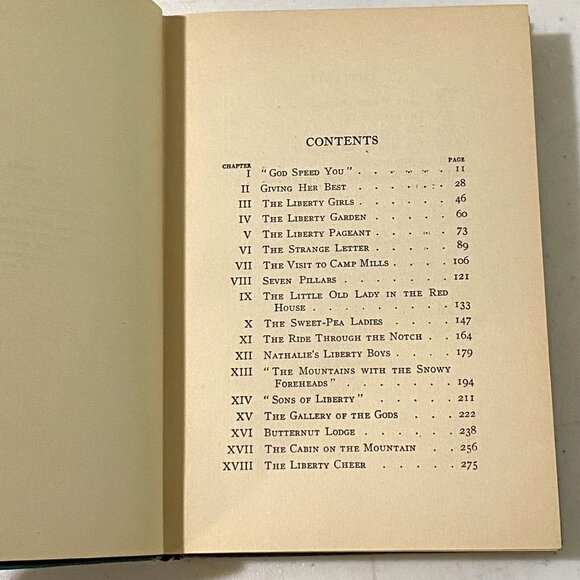 The Liberty Girl Hardcover Rena I Halsey WWI First Edition 1919 Antique Vintage - Picture 7 of 8